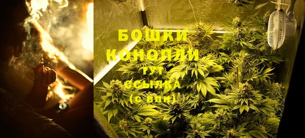 гидра Медногорск