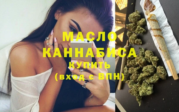 гидра Медногорск
