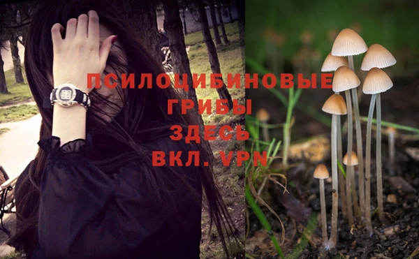 гидра Медногорск