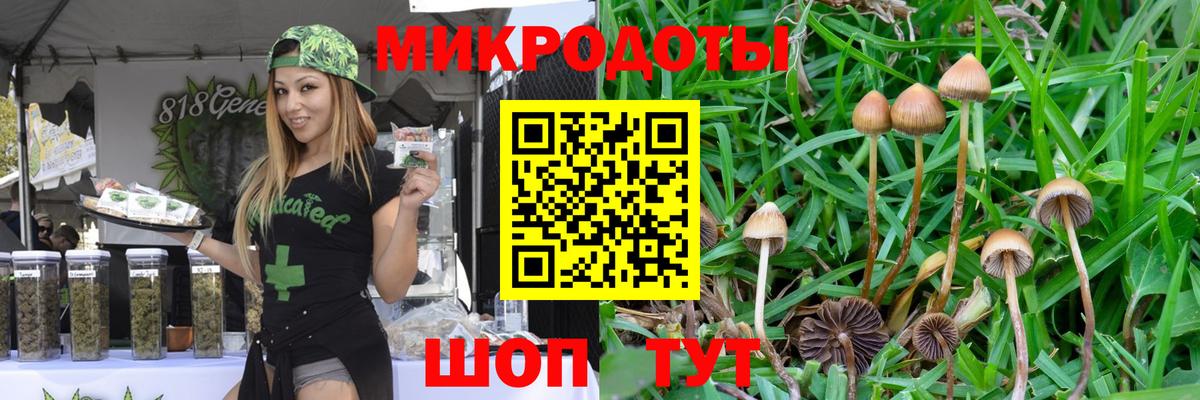 Псилоцибиновые грибы GOLDEN TEACHER Отрадное