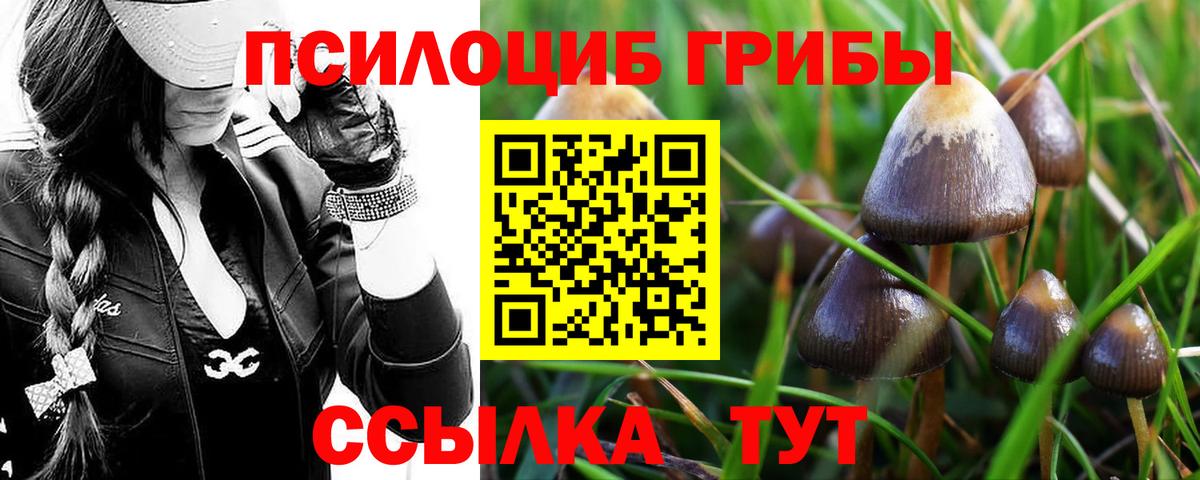 Галлюциногенные грибы Psilocybine cubensis  Вход с VPN  Отрадное 